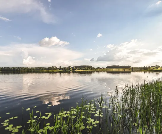 زاليزي مازوري أكتيف سبا 01